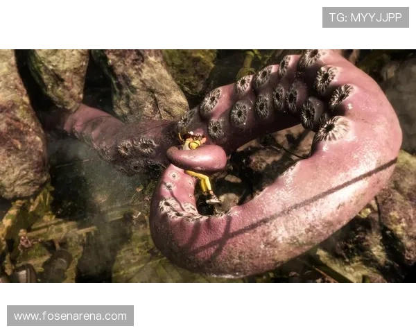 z6尊龙官方最新版本全面上线，带你体验极致游戏乐趣