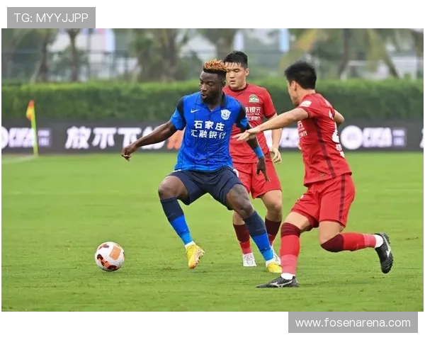 龙门体育官网提供详细的球队介绍和球员资料帮助粉丝深入了解球队情况